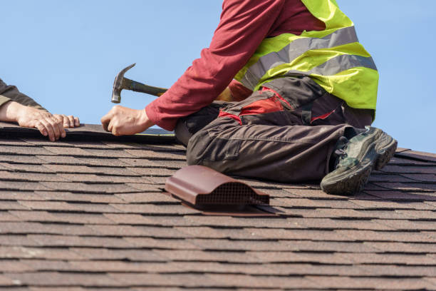 Best Roof Maintenance Services  in Zion, IL