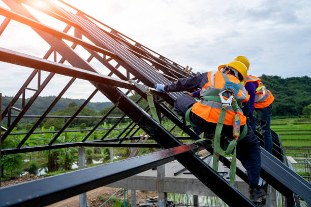 Best Storm Damage Roof Repair  in Zion, IL