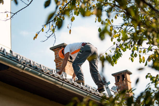 Best Roof Repair Services  in Zion, IL