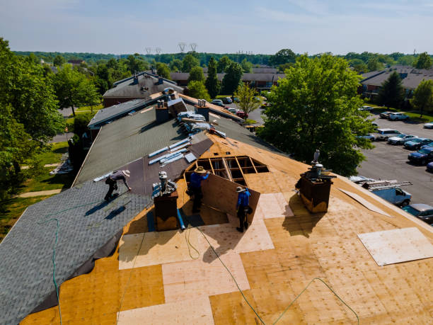 Trusted Zion, IL Roofing Contractor Experts