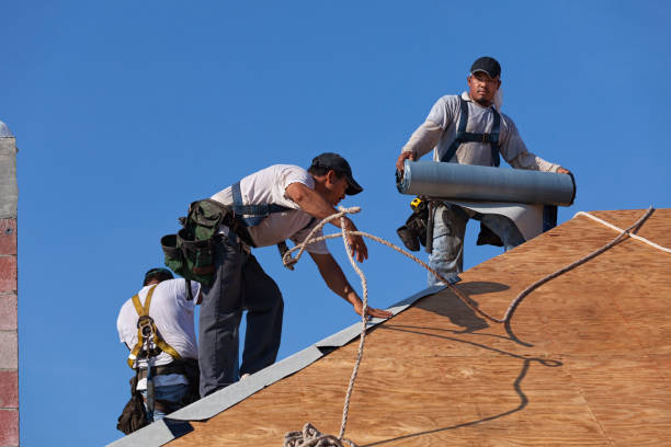 Best New Roof Installation  in Zion, IL