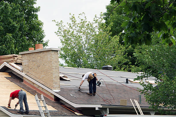 Best Metal Roofing Contractor  in Zion, IL