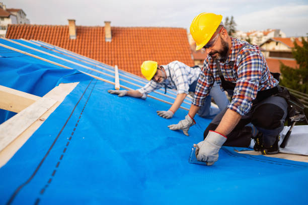 Best Commercial Roofing Services  in Zion, IL