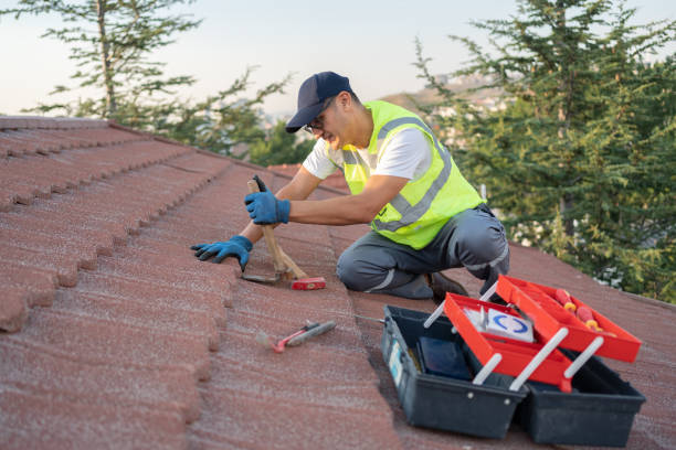 Best New Roof Installation  in Zion, IL